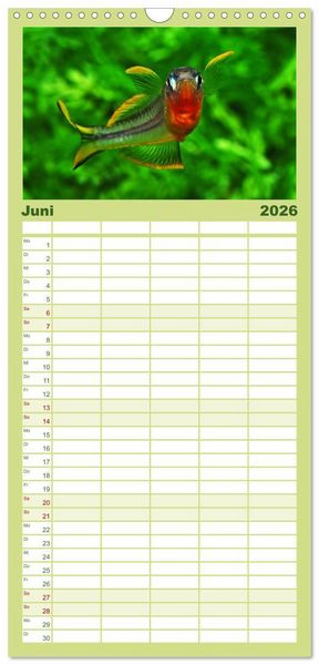 Produktbild: Familienplaner 2026 - Beliebte Fische der Welt mit 5 Spalten (Wandkalender, 21 x 45 cm) CALVENDO