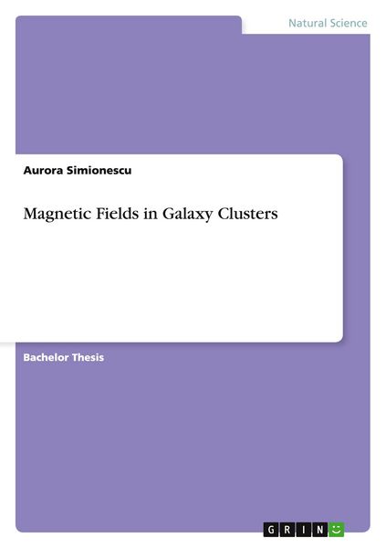 Produktbild: Magnetic Fields in Galaxy Clusters