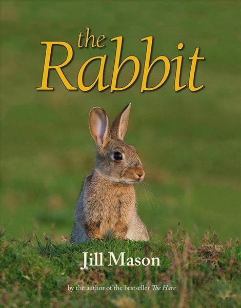 Produktbild: The Rabbit