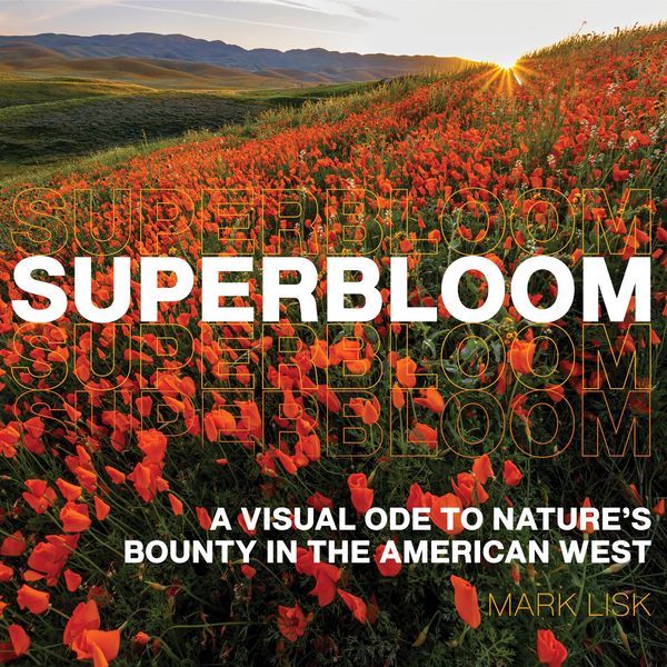 Produktbild: Superbloom