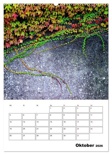 Produktbild: Mauerbl&uuml;mchen - Poesie im Allt&auml;glichen als Monatsplaner (Wandkalender 2026 DIN A2 hoch), CALVENDO Monatskalender