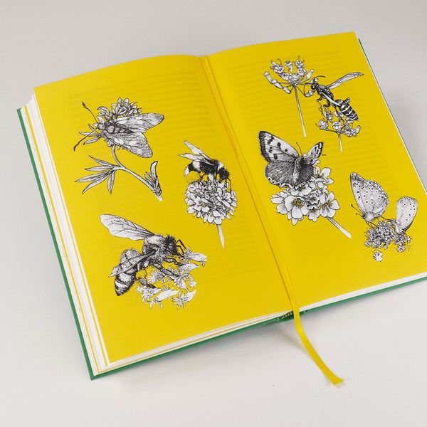 Produktbild: Wildlife Gardening