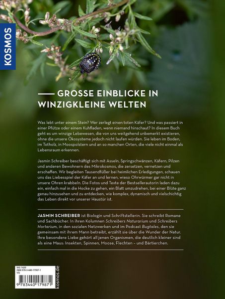 Produktbild: Im Schatten von Giganten