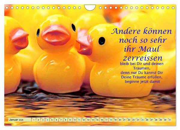 Produktbild: Spruchkalender - schau rein (Wandkalender 2026 DIN A4 quer), CALVENDO Monatskalender