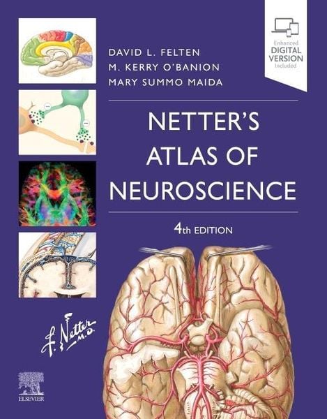 Produktbild: Netter's Atlas of Neuroscience