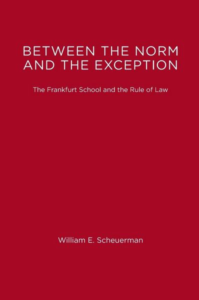 Produktbild: Between the Norm and the Exception