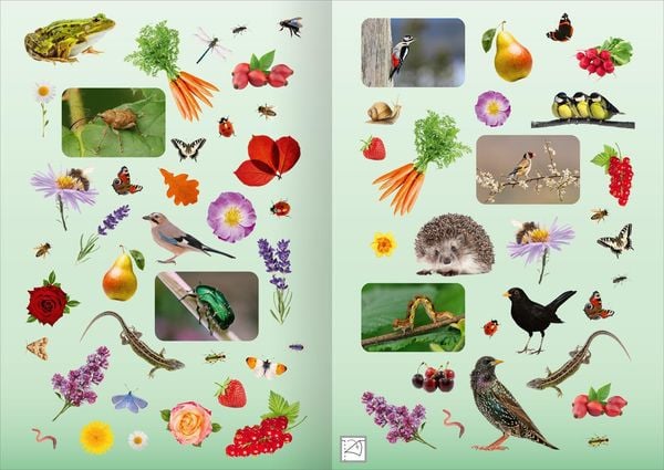 Produktbild: Naturforscher-Kids &ndash; Fotosticker Im Garten