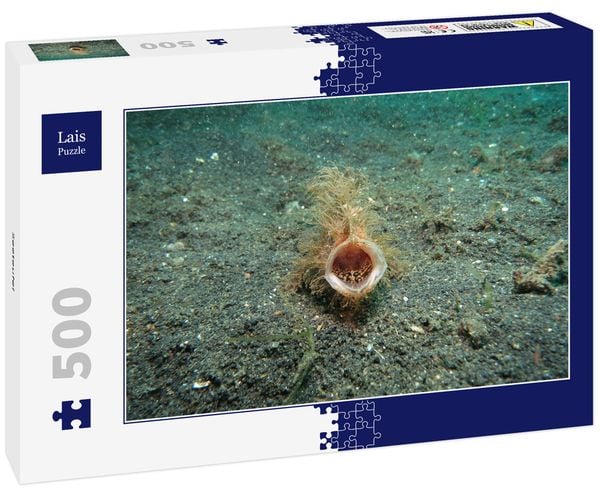 Produktbild: Lais Puzzle Seeteufel 500 Teile