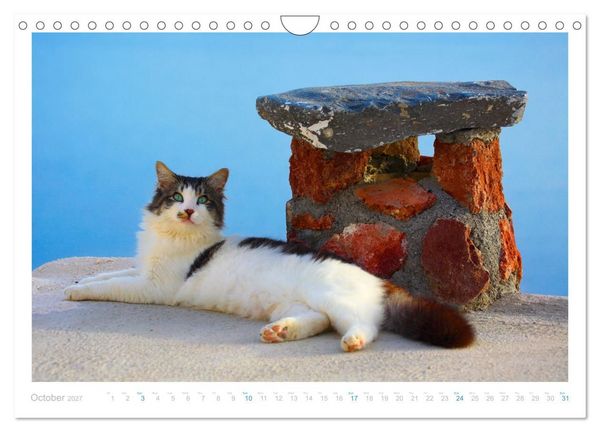 Produktbild: Cats of the Greek Islands (Wall Calendar 2027 DIN A4 landscape), CALVENDO 12 Month Wall Calendar