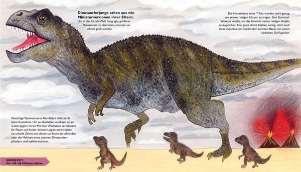 Produktbild: So lebten die Dinosaurier und andere Tiere der Urzeit