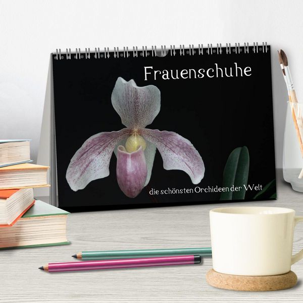 Produktbild: Frauenschuhe - die sch&ouml;nsten Orchideen der Welt (Tischkalender 2026 DIN A5 quer), CALVENDO Monatskalender