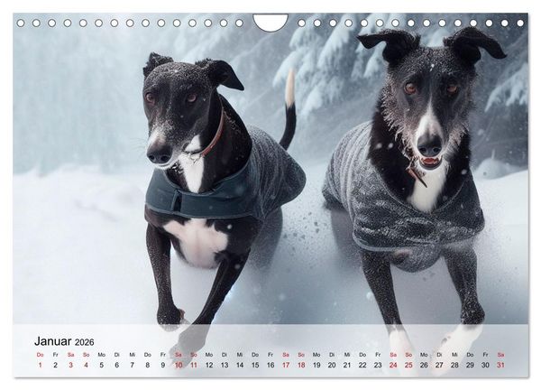 Produktbild: Black is beautiful (Wandkalender 2026 DIN A4 quer), CALVENDO Monatskalender