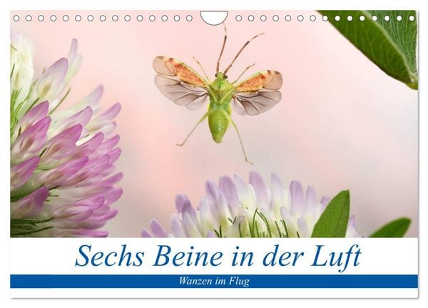 Produktbild: Sechs Beine in der Luft - Wanzen im Flug (Wandkalender 2026 DIN A4 quer), CALVENDO Monatskalender