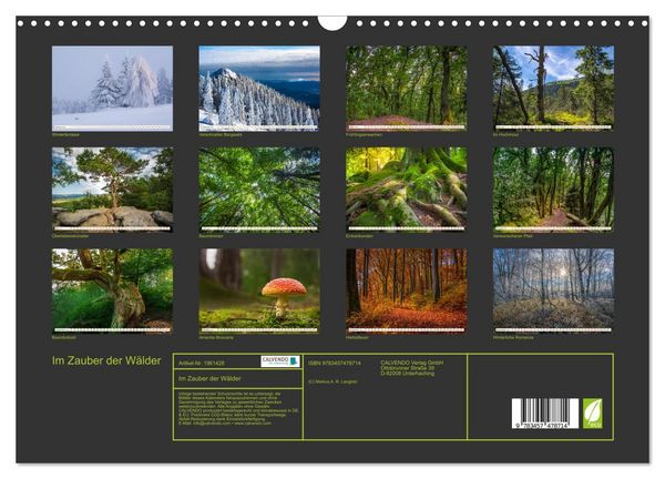 Produktbild: Im Zauber der W&auml;lder (Wandkalender 2026 DIN A3 quer), CALVENDO Monatskalender