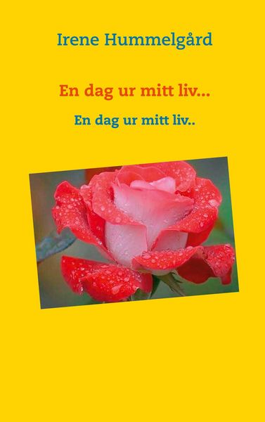 Produktbild: En dag ur mitt liv...