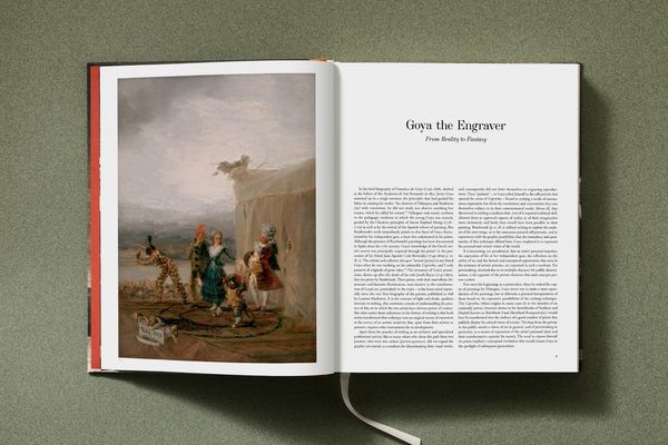 Produktbild: Goya