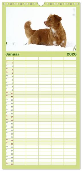 Produktbild: Familienplaner 2026 - Nova Scotia Duck Tolling Retriever mit 5 Spalten (Wandkalender, 21 x 45 cm) CALVENDO