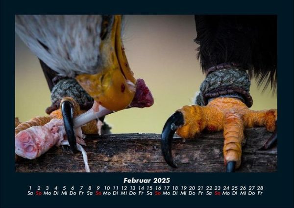 Produktbild: Adler 2025 Fotokalender DIN A4