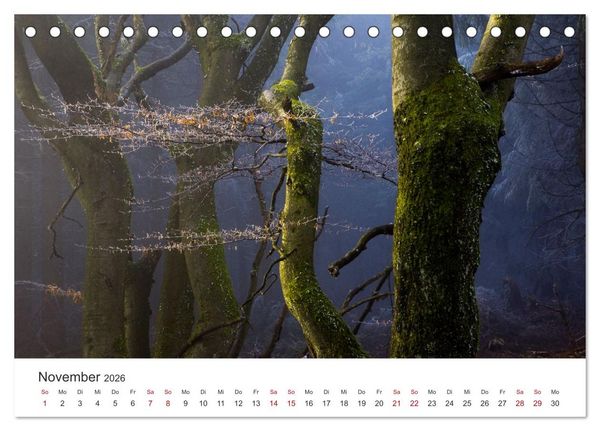 Produktbild: Im Deutschen Wald (Tischkalender 2026 DIN A5 quer), CALVENDO Monatskalender