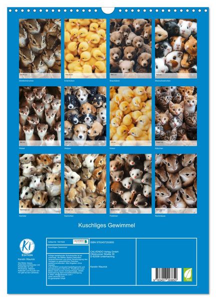 Produktbild: Kuschliges Gewimmel (Wandkalender 2026 DIN A3 hoch), CALVENDO Monatskalender