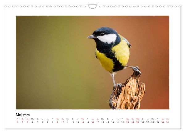 Produktbild: Deutschlands Wildtiere (Wandkalender 2026 DIN A3 quer), CALVENDO Monatskalender