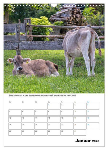 Produktbild: Liebenswerte Landtiere (Wandkalender 2026 DIN A3 hoch), CALVENDO Monatskalender