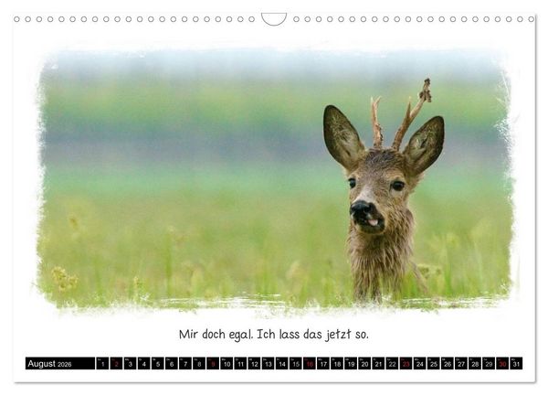 Produktbild: Tierisch witzig (Wandkalender 2026 DIN A3 quer), CALVENDO Monatskalender