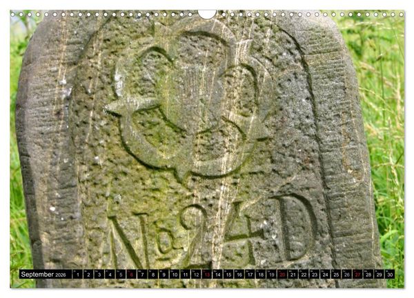 Produktbild: Lippische Rosen (Wandkalender 2026 DIN A3 quer), CALVENDO Monatskalender