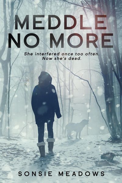 Produktbild: Meddle No More (Molly Fraser Mysteries, #2)