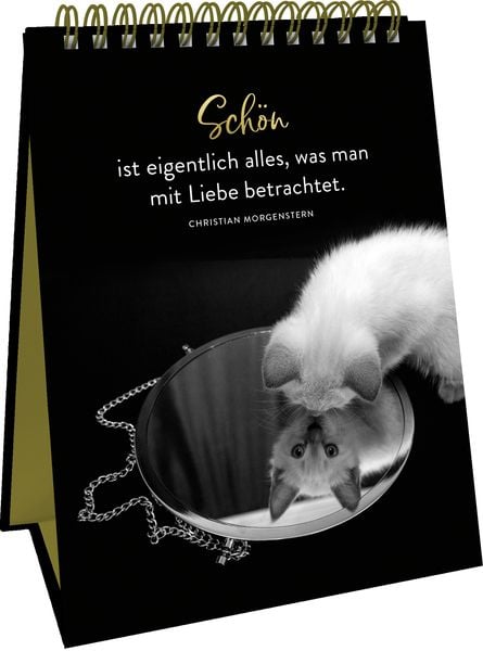 Produktbild: Goldene Katzenweisheiten