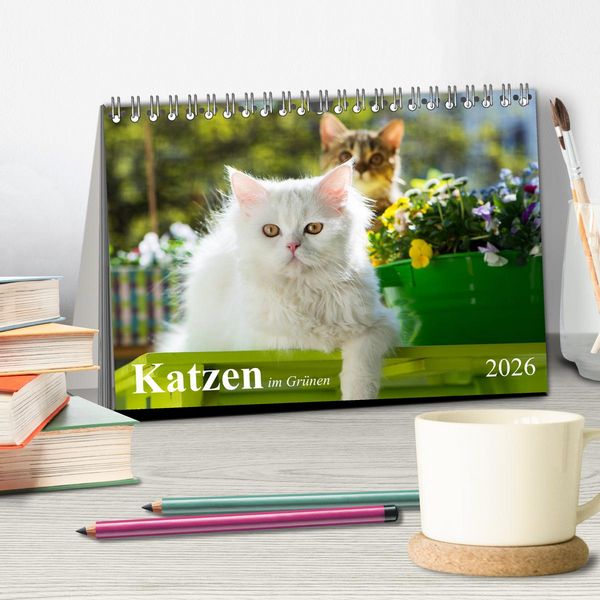 Produktbild: Katzen im Gr&uuml;nen (Tischkalender 2026 DIN A5 quer), CALVENDO Monatskalender