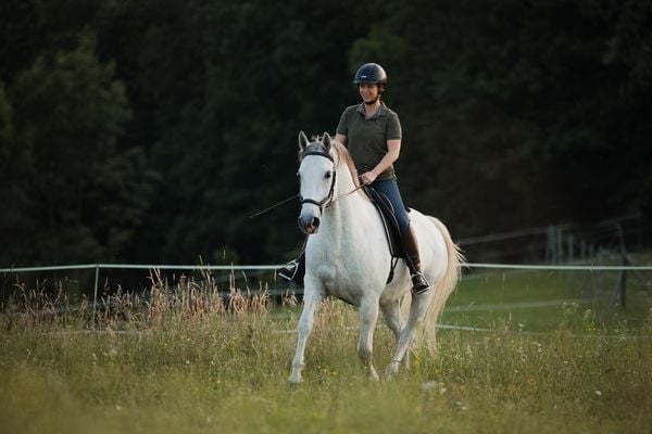 Einfach (An)Reiten