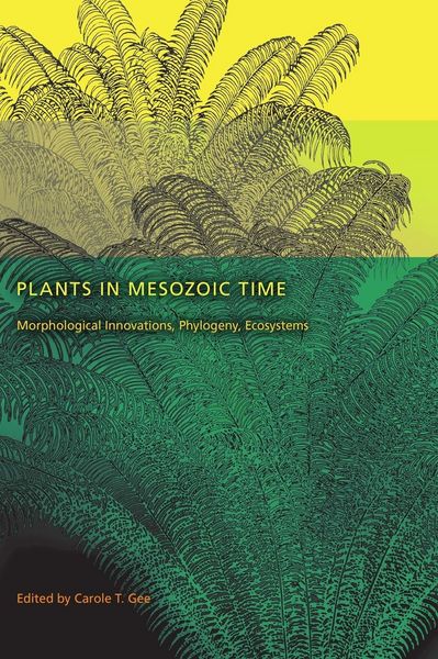 Produktbild: Plants in Mesozoic Time