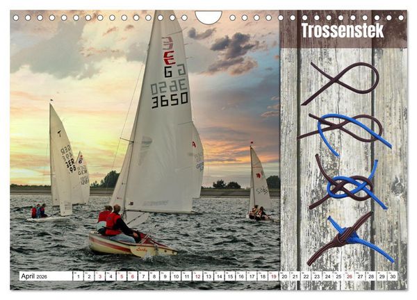 Produktbild: Schnittige Jollen - wichtige Knoten (Wandkalender 2026 DIN A4 quer), CALVENDO Monatskalender