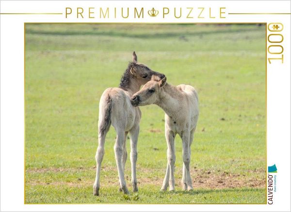 CALVENDO Puzzle Spielende Pferdekinder | 1000 Teile Lege-Größe 64x48cm Foto-Puzzle für glückliche Stunden