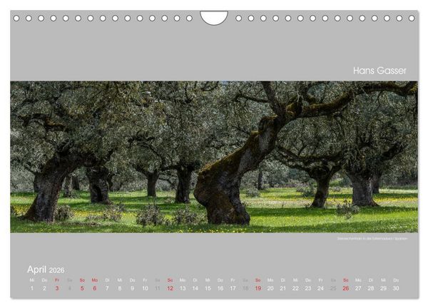 Produktbild: GROSSARTIGE LANDSCHAFTEN 2026 (Wandkalender 2026 DIN A4 quer), CALVENDO Monatskalender