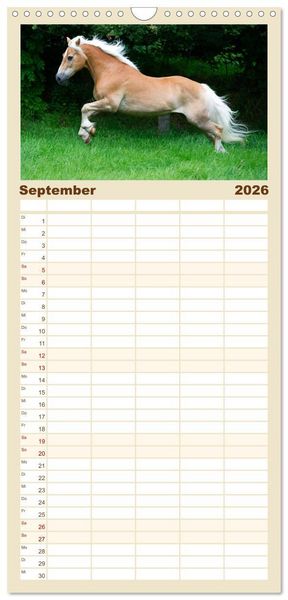 Produktbild: Familienplaner 2026 - Haflinger mit 5 Spalten (Wandkalender, 21 x 45 cm) CALVENDO