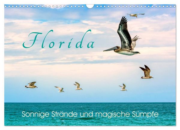 Produktbild: Florida - Sonnige Str&auml;nde und magische S&uuml;mpfe (Wandkalender 2026 DIN A3 quer), CALVENDO Monatskalender