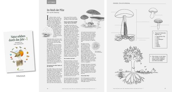 Produktbild: Natur erleben durch das Jahr - 1