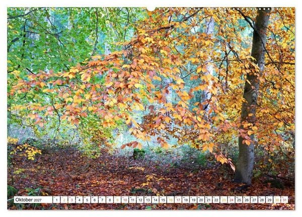 Produktbild: 12 Monate Natur (Wandkalender 2027 DIN A2 quer), CALVENDO Monatskalender