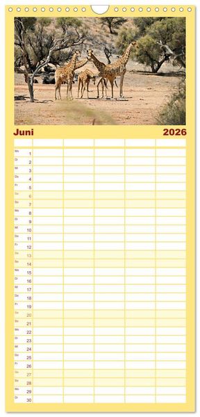 Produktbild: Familienplaner 2026 - Kgalagadi - Fauna und Wildtiere in der Kalahari mit 5 Spalten (Wandkalender, 21 x 45 cm) CALVENDO