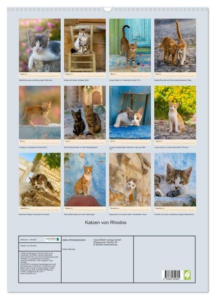 Produktbild: Katzen von Rhodos (Wandkalender 2027 DIN A2 hoch), CALVENDO Monatskalender
