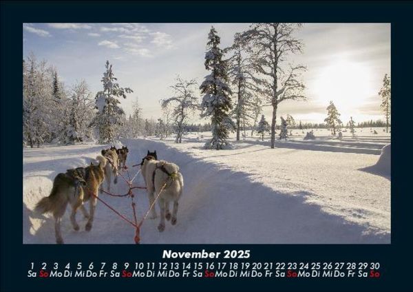 Produktbild: Hundezauber 2025 Fotokalender DIN A5