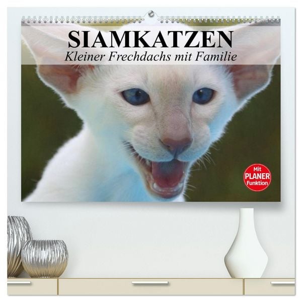 Siamkatzen - Kleiner Frechdachs mit Familie (hochwertiger Premium Wandkalender 2026 DIN A2 quer), Kunstdruck in Hochglanz