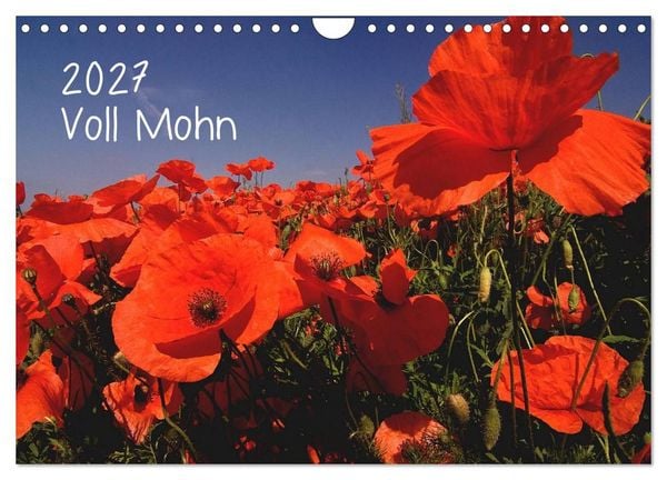 Produktbild: Voll Mohn (Wandkalender 2027 DIN A4 quer), CALVENDO Monatskalender
