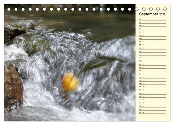 Produktbild: Enten-Rennen (Tischkalender 2026 DIN A5 quer), CALVENDO Monatskalender