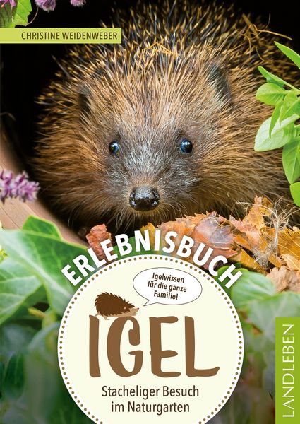 Produktbild: Erlebnisbuch Igel