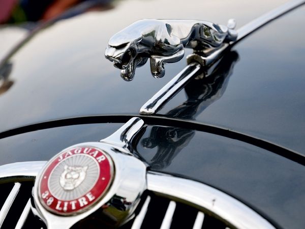 Produktbild: CALVENDO Puzzle K&uuml;hlerfigur Jaguar | 1000 Teile Lege-Gr&ouml;&szlig;e 64x48cm Foto-Puzzle f&uuml;r gl&uuml;ckliche Stunden