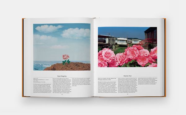 Produktbild: Flower: Exploring the World in Bloom