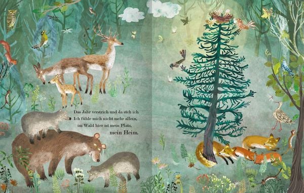 Produktbild: Der Weihnachtsbaum, den niemand wollte
